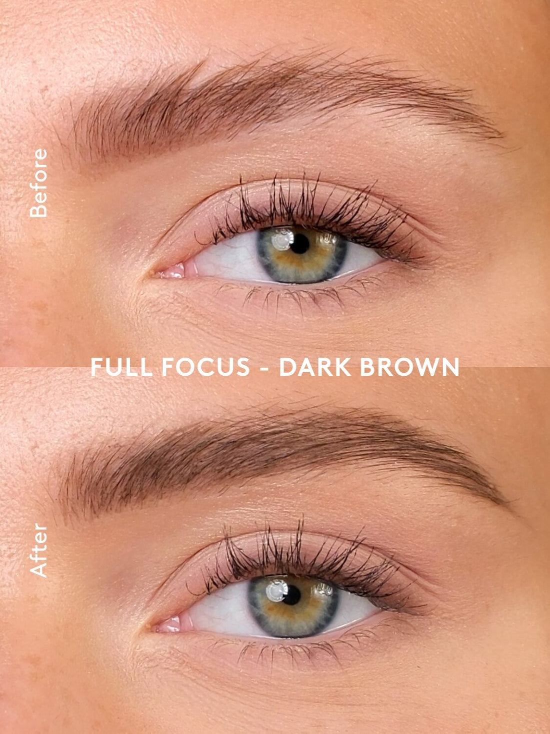 XLASH FULL FOCUS, DARK BROWN