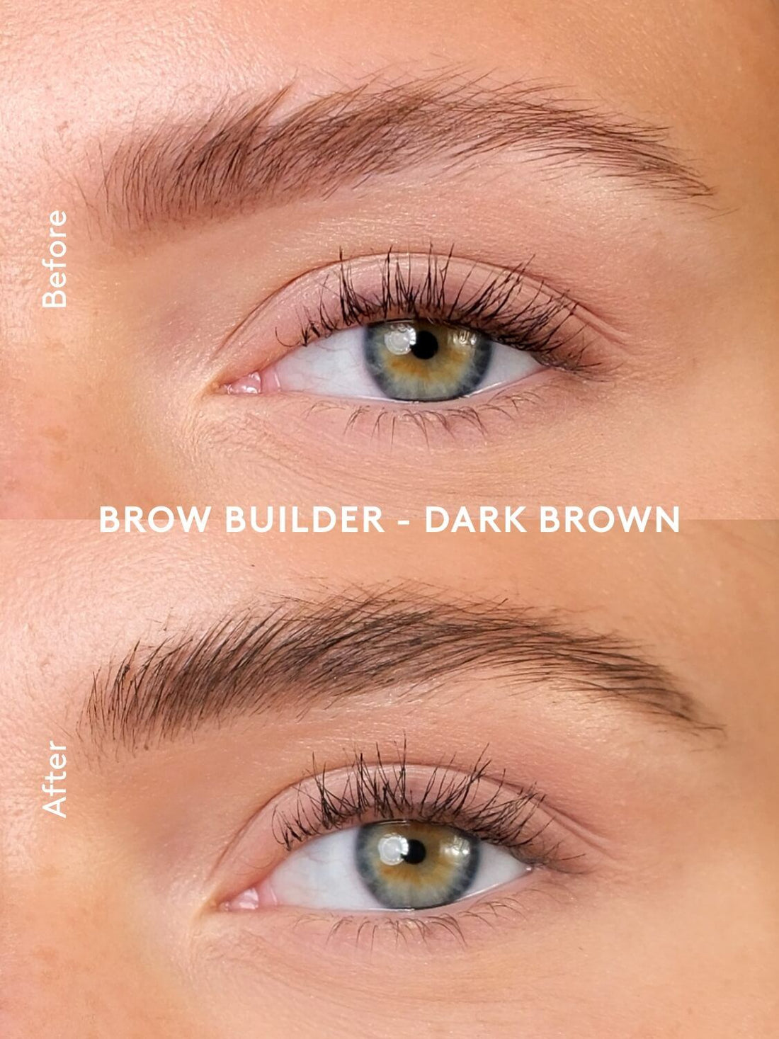 XLASH BROW BUILDER, DARK BROWN