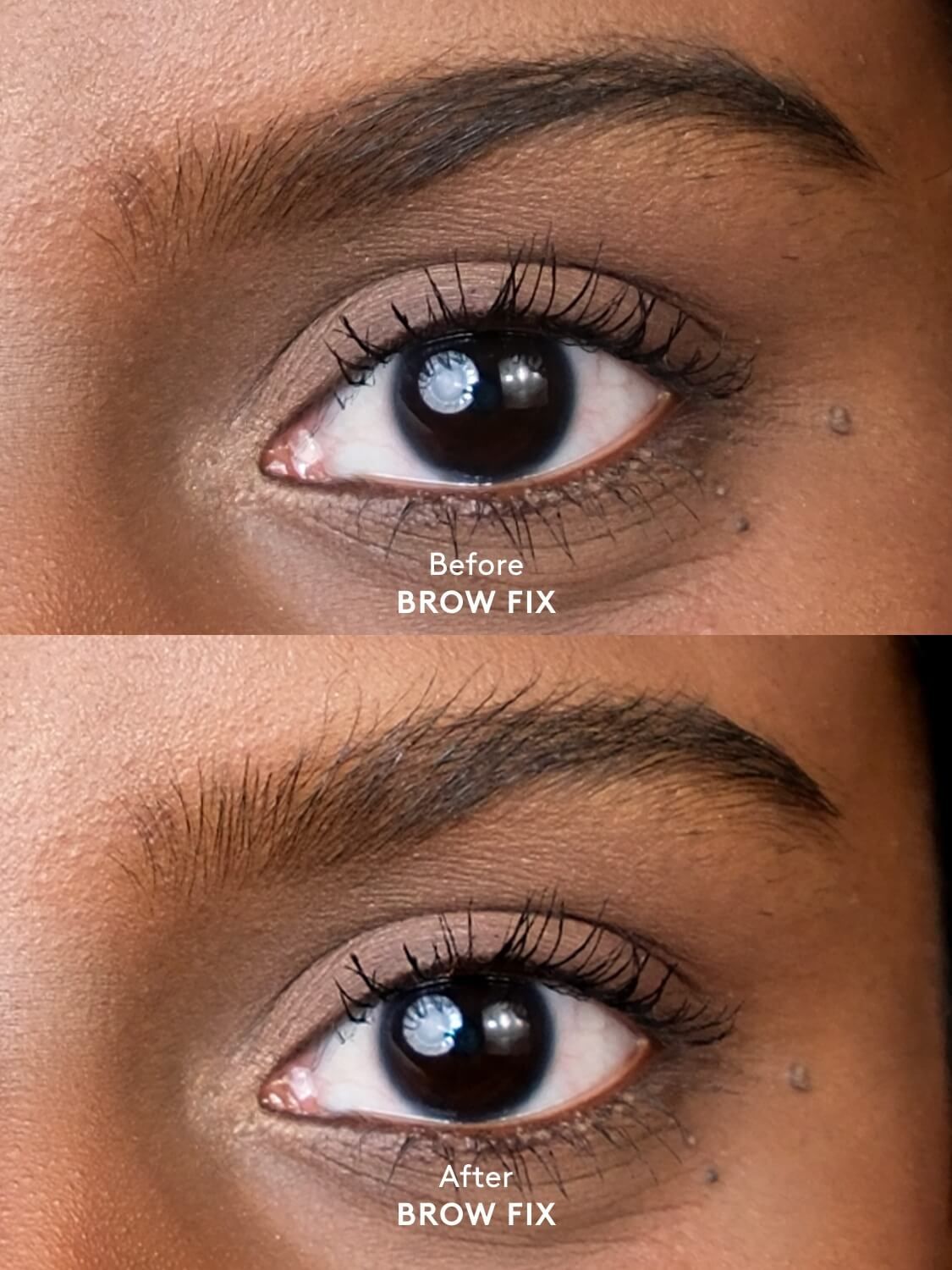 XLASH BROW FIX, CLEAR