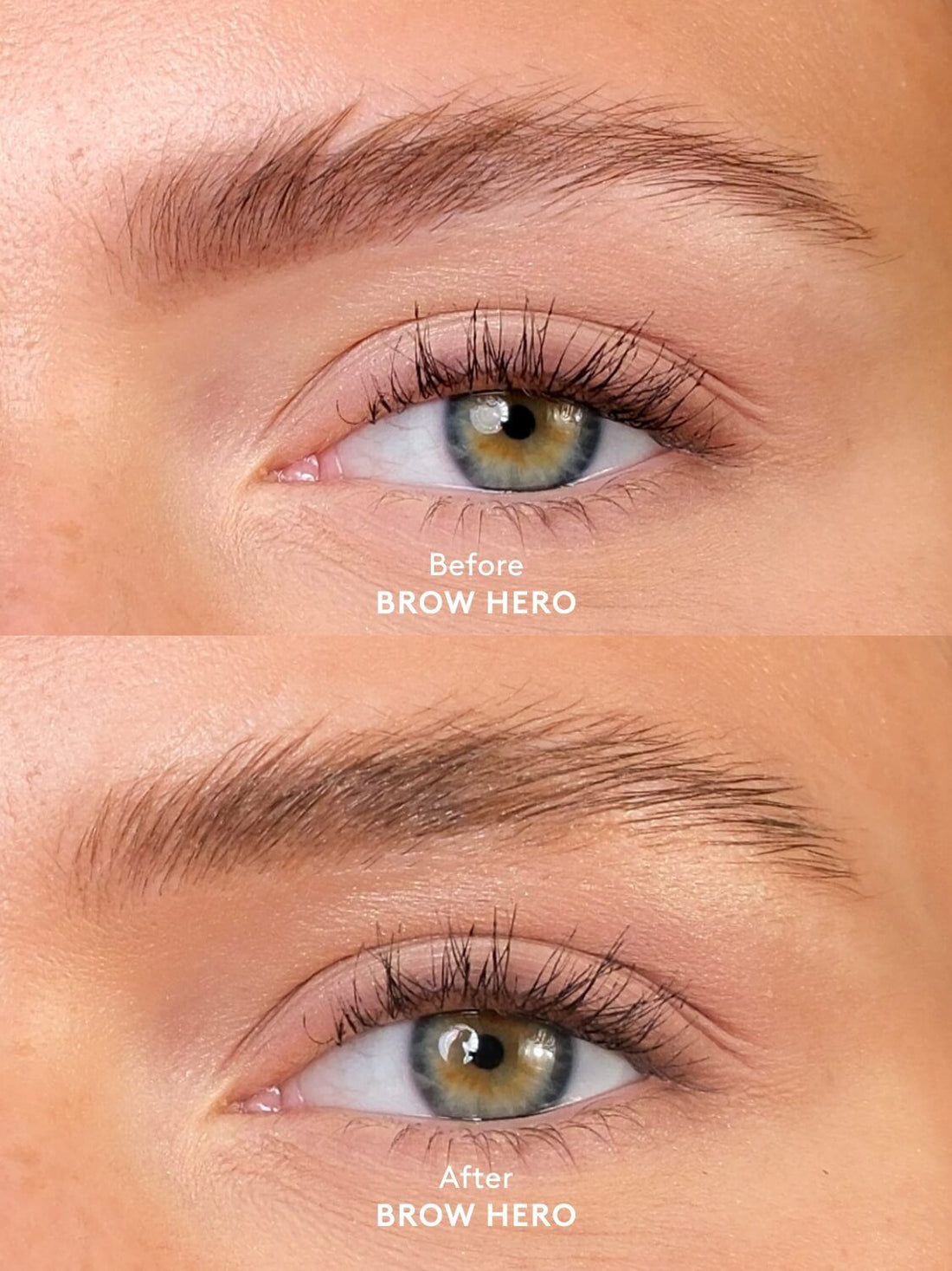 XLASH BROW HERO