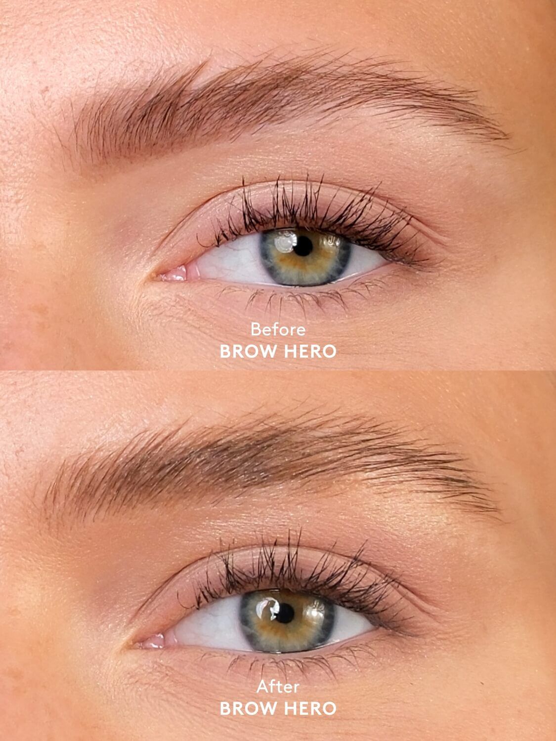 XLASH BROW HERO